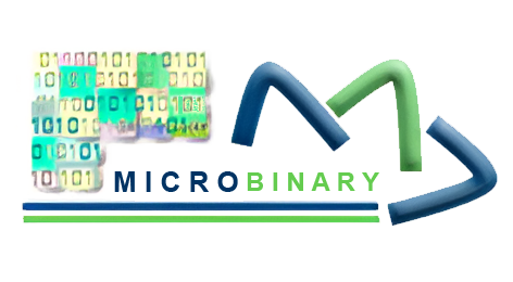 MicroBinary
